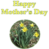 Outside Cover of printable Mother's Day card