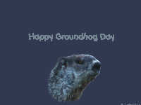 Happy Groundhog Day Wallpaper